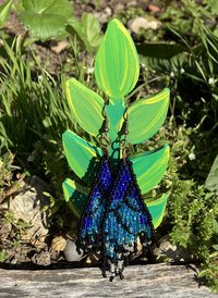 Two tone Blue  Wing  earrings